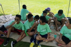 Thánh Kinh Hè 2019:  Được Dựng Nên Lạ Lùng (Wonderfully Made)