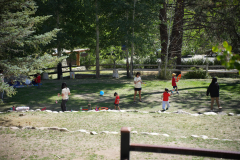 TL_06050