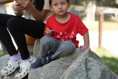 TL_06439