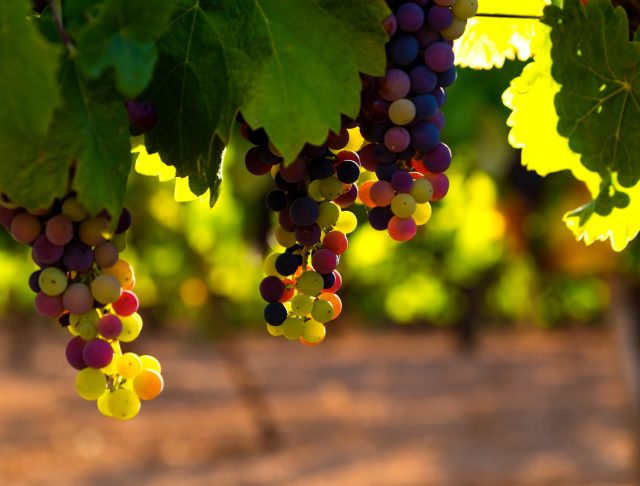 Thờ Phượng Chúa Nhật Ngày 15 Tháng 3, 2026: Hãy Là Chính Mình