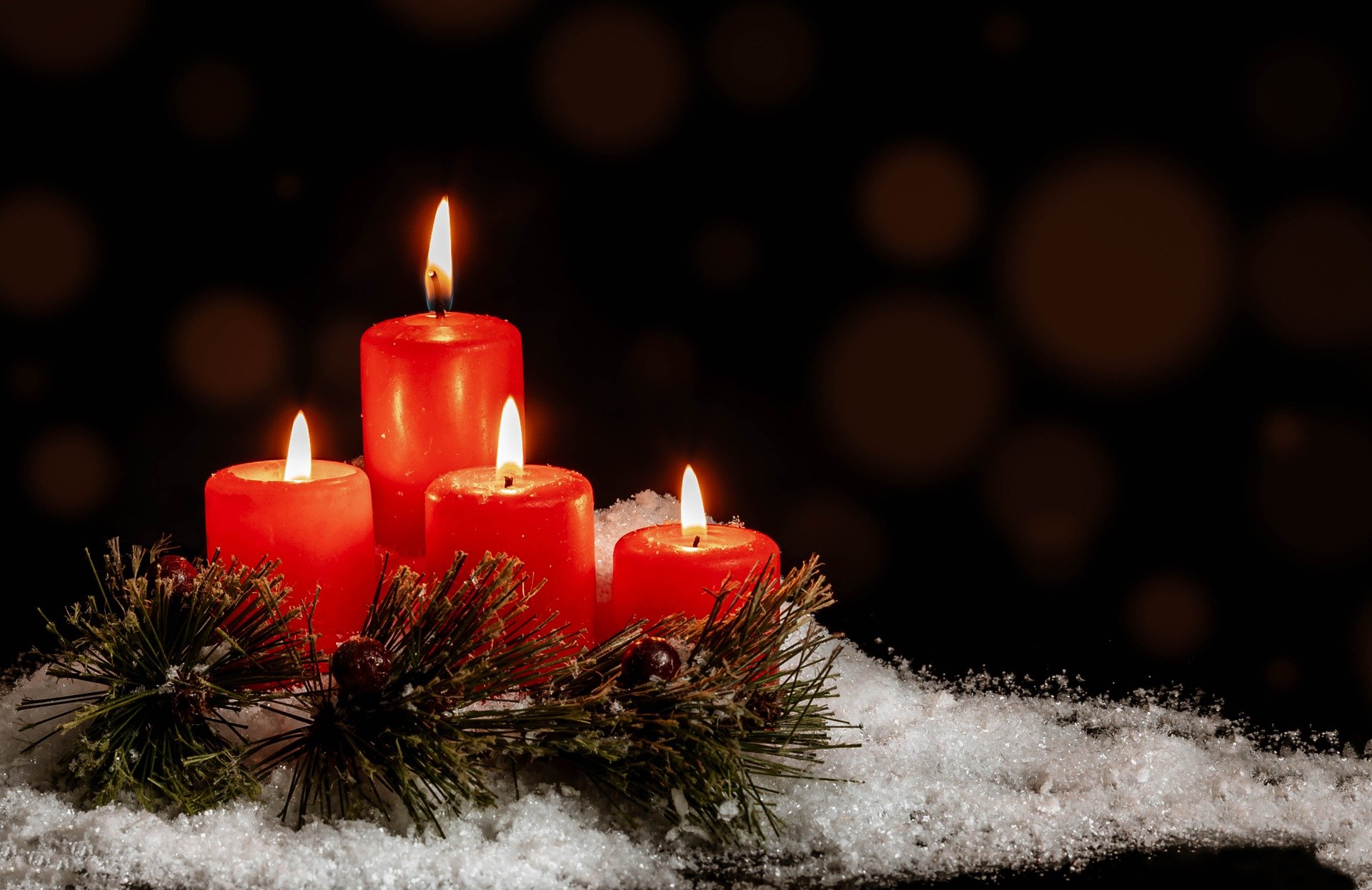 Mừng Chúa Giáng Sinh – Chúa Nhật Ngày 24 Tháng 12, 2023: Chúa Đến Để Tìm Và Cứu