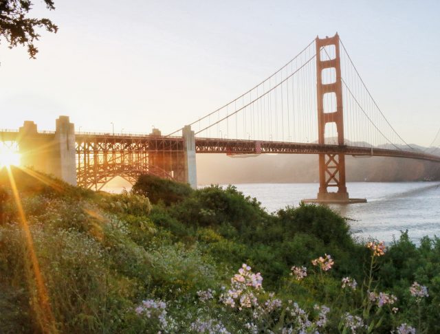 Thờ Phượng Chúa Nhật Ngày 19 Tháng 4, 2026: Chúa Muốn Khôi Phục