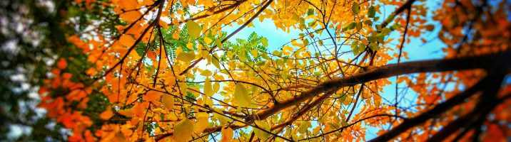 Thờ Phượng Chúa Nhật Ngày 16 Tháng 11, 2025: Chuẩn Bị Cho Chúa