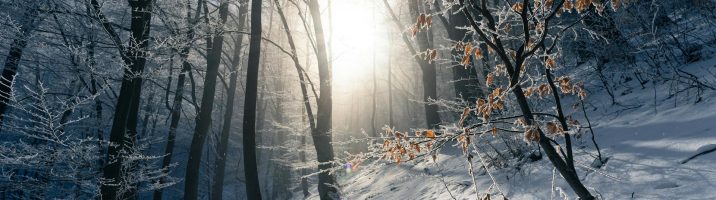 Thờ Phượng Chúa Nhật Ngày 4 Tháng 1, 2026: Được Ở Trong Chúa